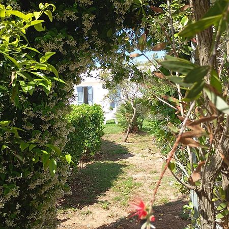 Li Curti B&B Melissano Екстер'єр фото