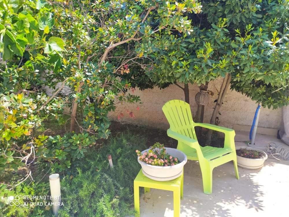 Li Curti B&B Melissano Екстер'єр фото