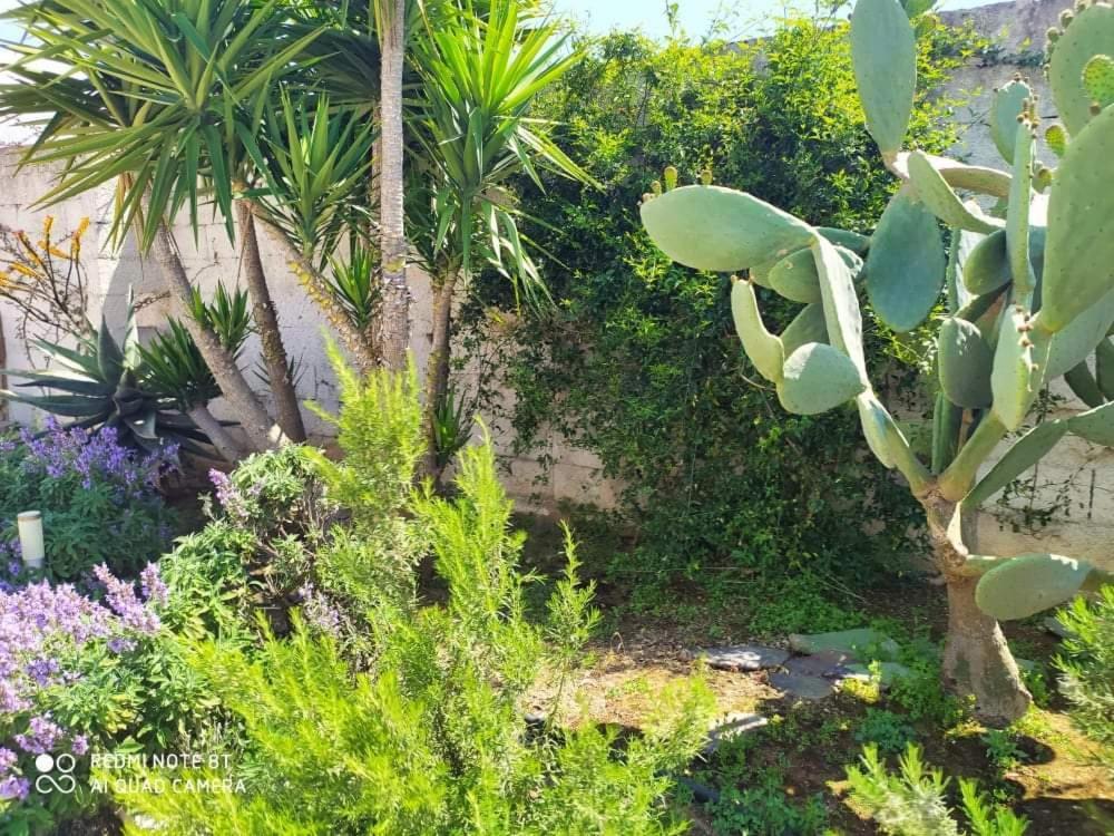 Li Curti B&B Melissano Екстер'єр фото