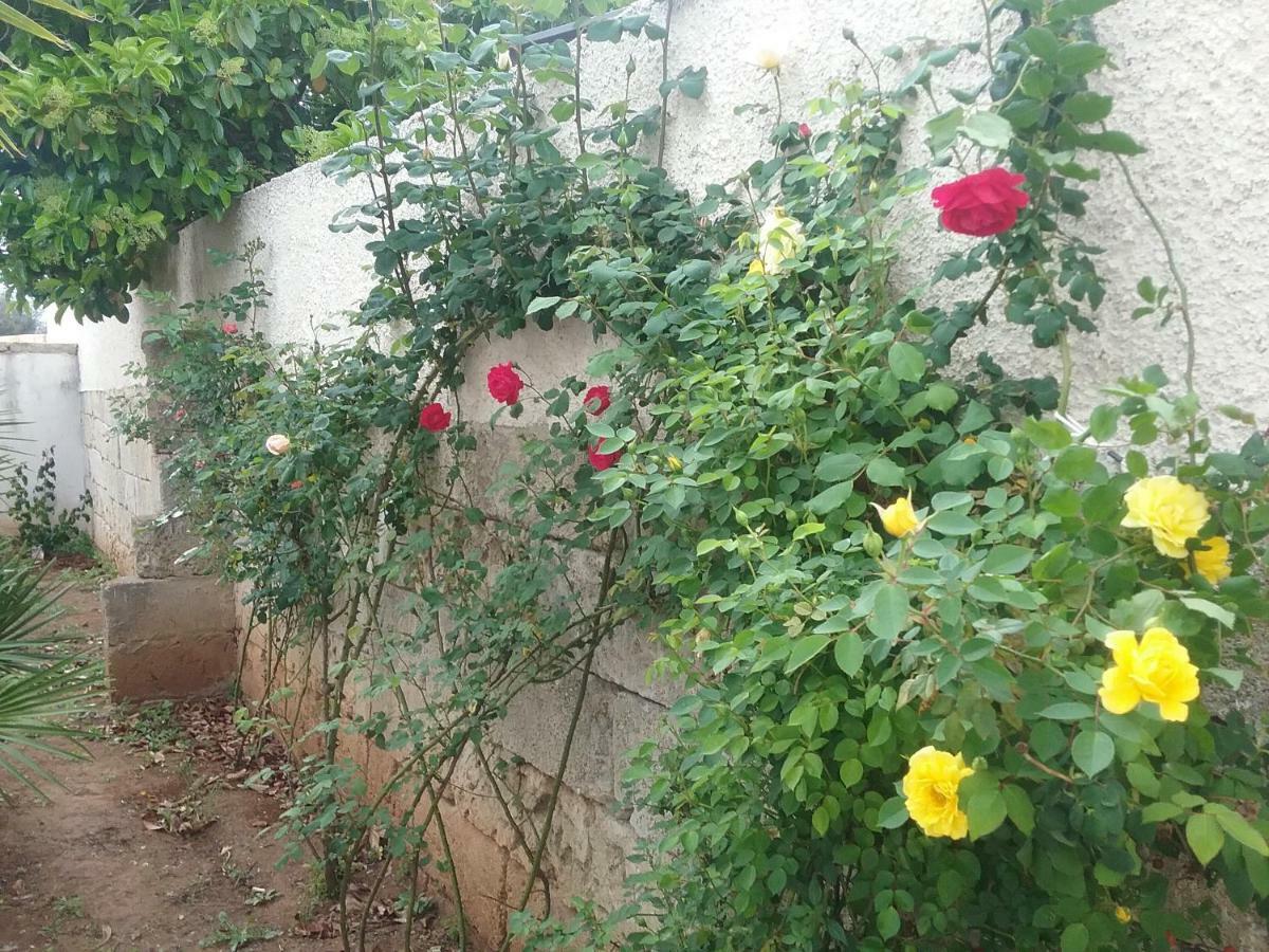 Li Curti B&B Melissano Екстер'єр фото