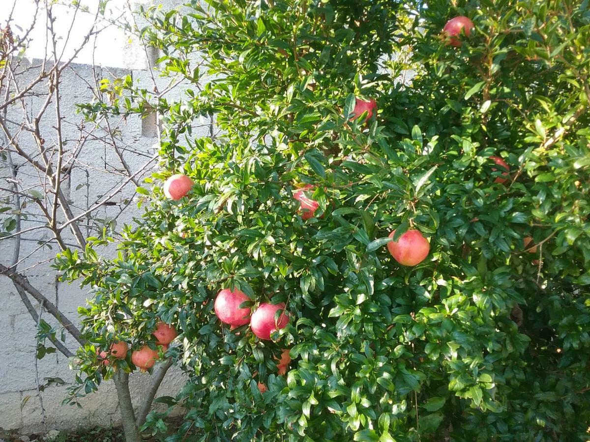 Li Curti B&B Melissano Екстер'єр фото