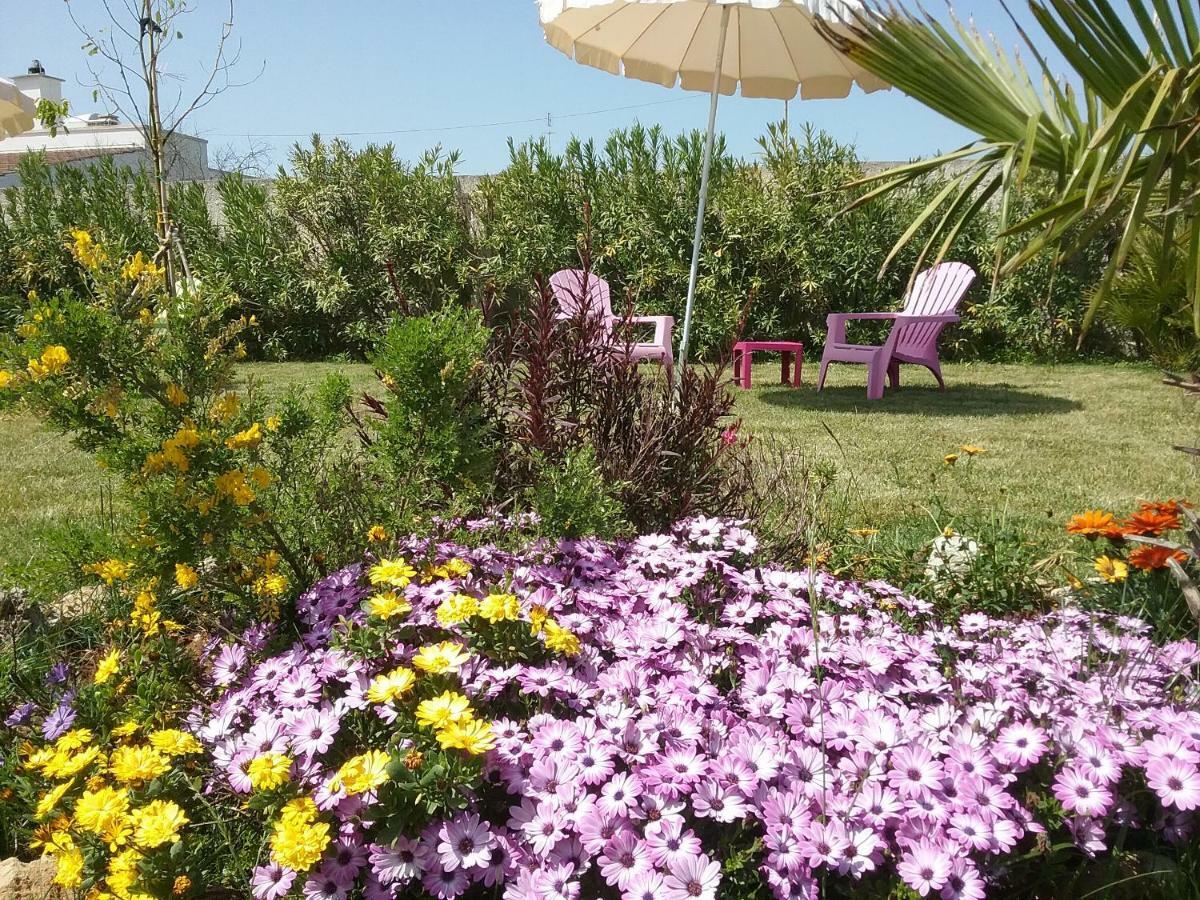 Li Curti B&B Melissano Екстер'єр фото